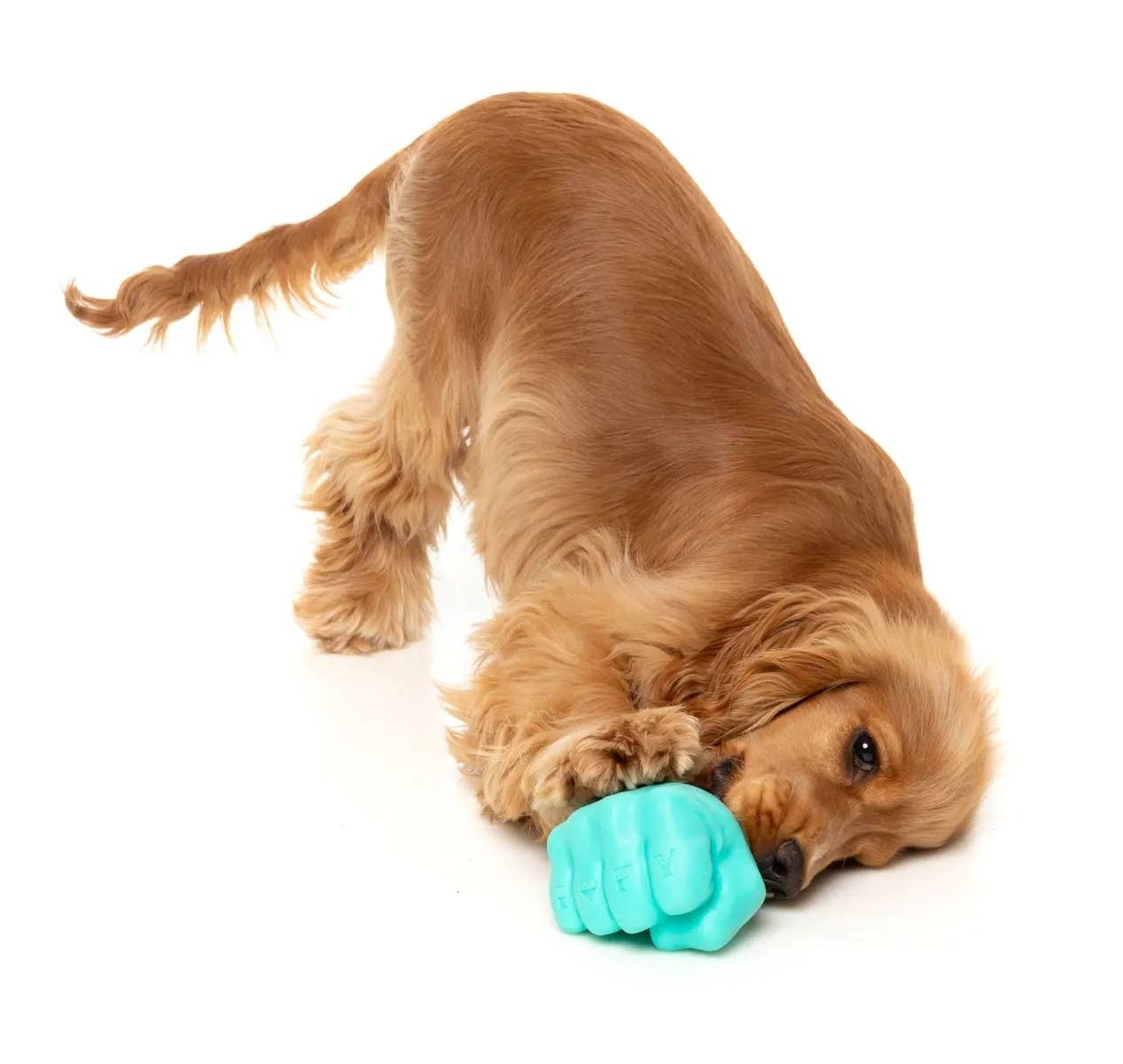 FuzzYard Knuckle Sandwich Dog Chew Toy Image