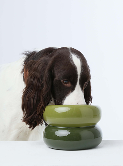 PEHOM - Soufflé Pet Bowl - Avocado Green Image