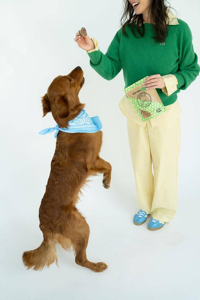Winnie Lou - Bison Tendon Chews Image