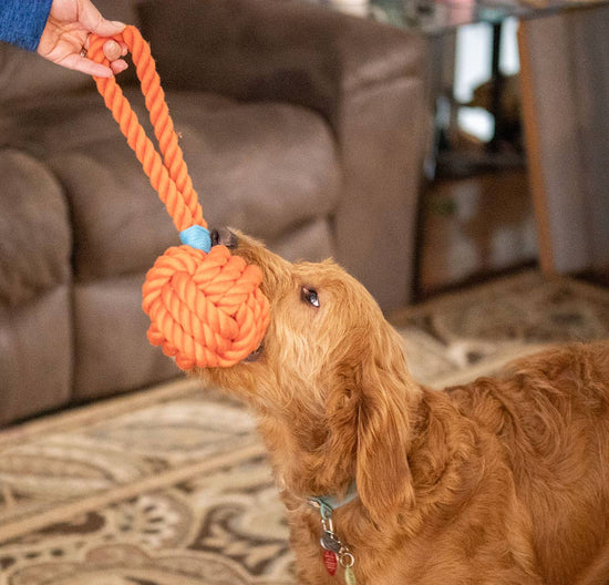 ThoozyPet Ball Tug Rope Dog Toy with Handle Orange 5" Image