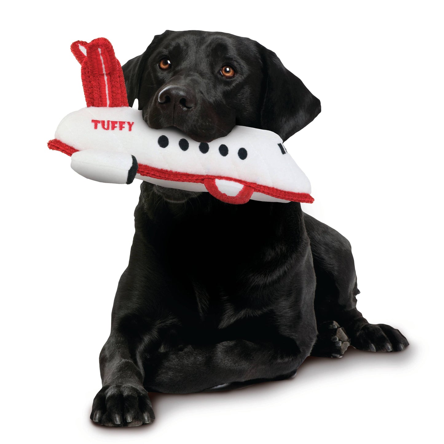 VIP Tuffy Airplane Dog Chew Toy 4.3" Image