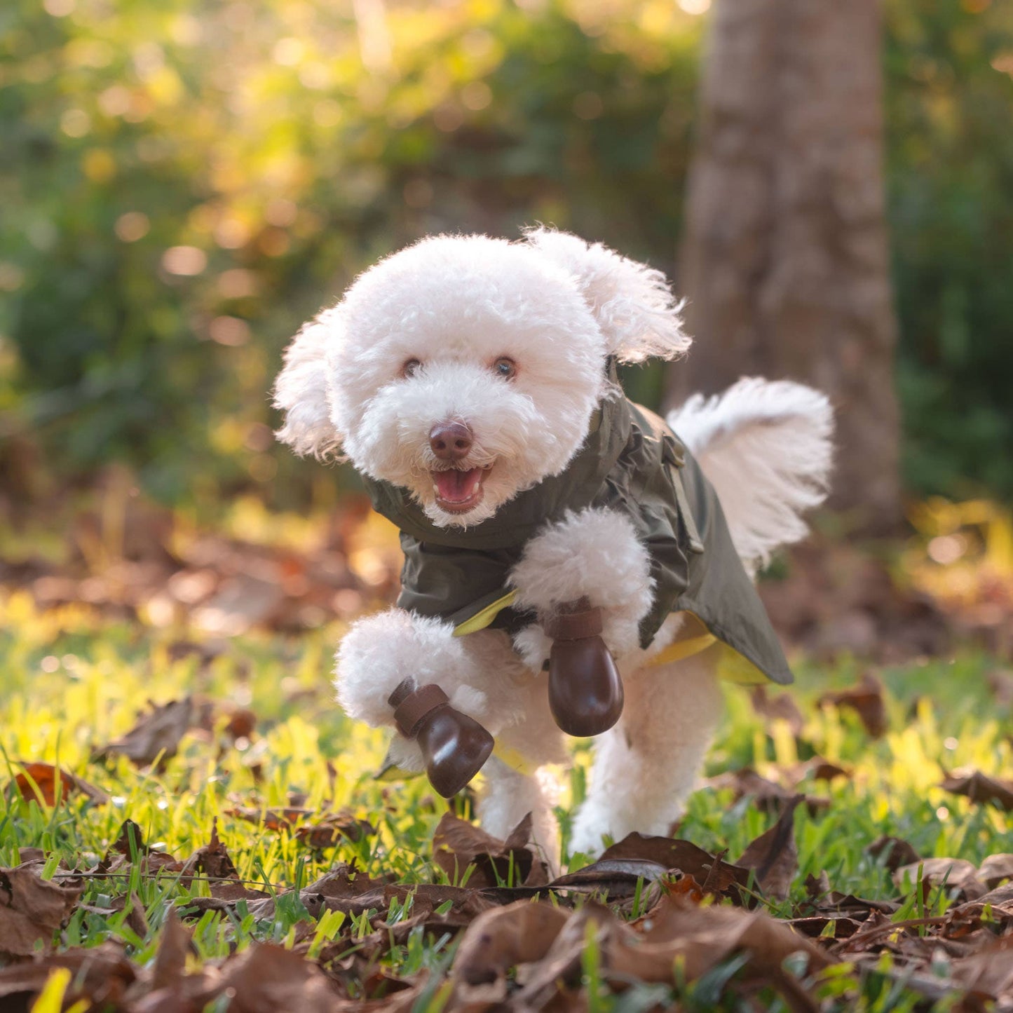 Pups & Bubs - Lumi Raincoat Image