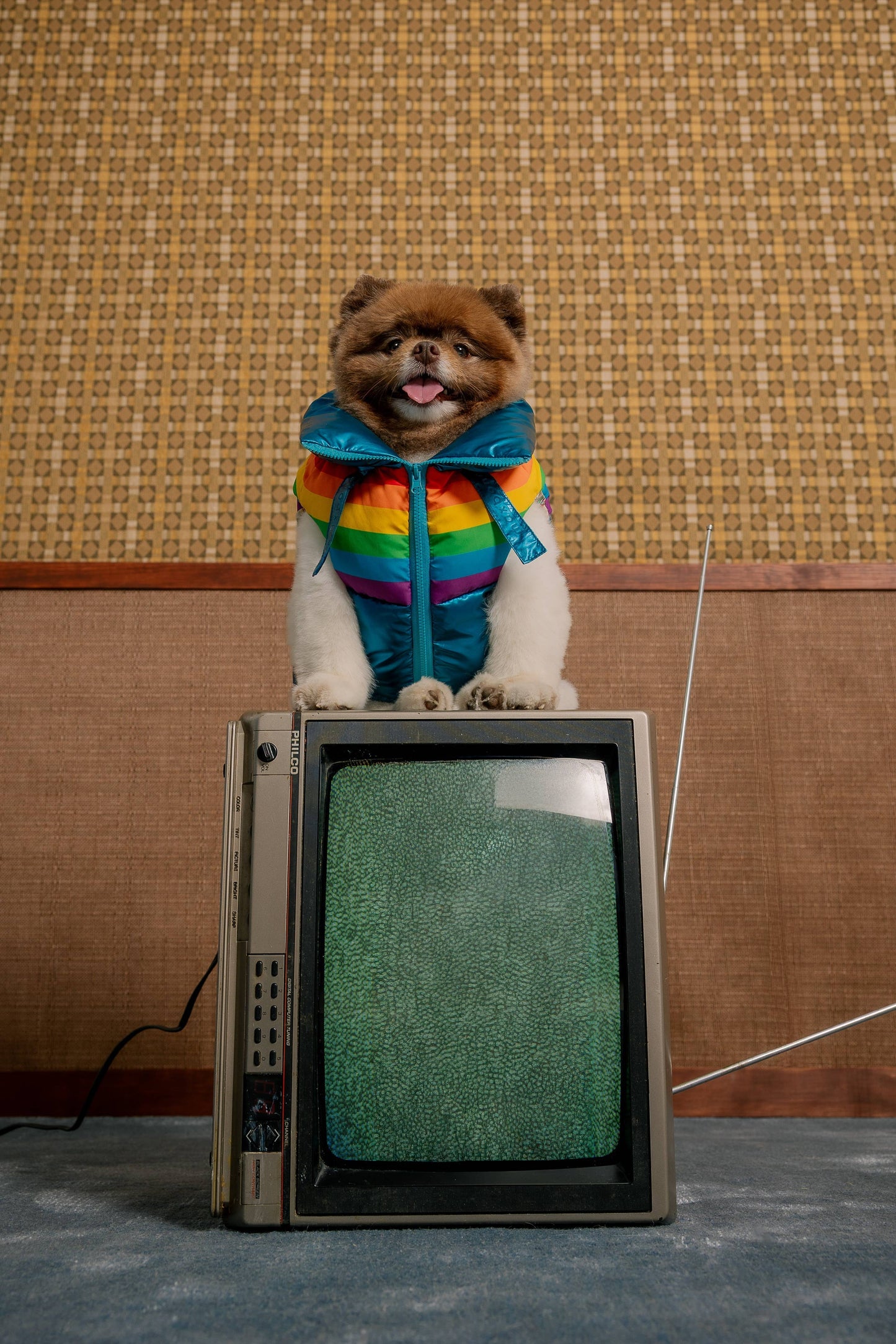 maxbone - Stranger Things x maxbone WSQK Puffer Vest