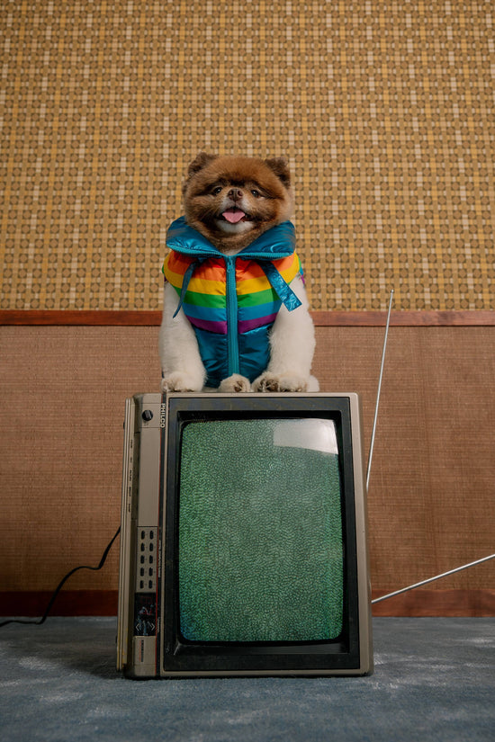 maxbone - Stranger Things x maxbone WSQK Puffer Vest