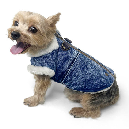 Dogo Pet - Furry Runner Coat