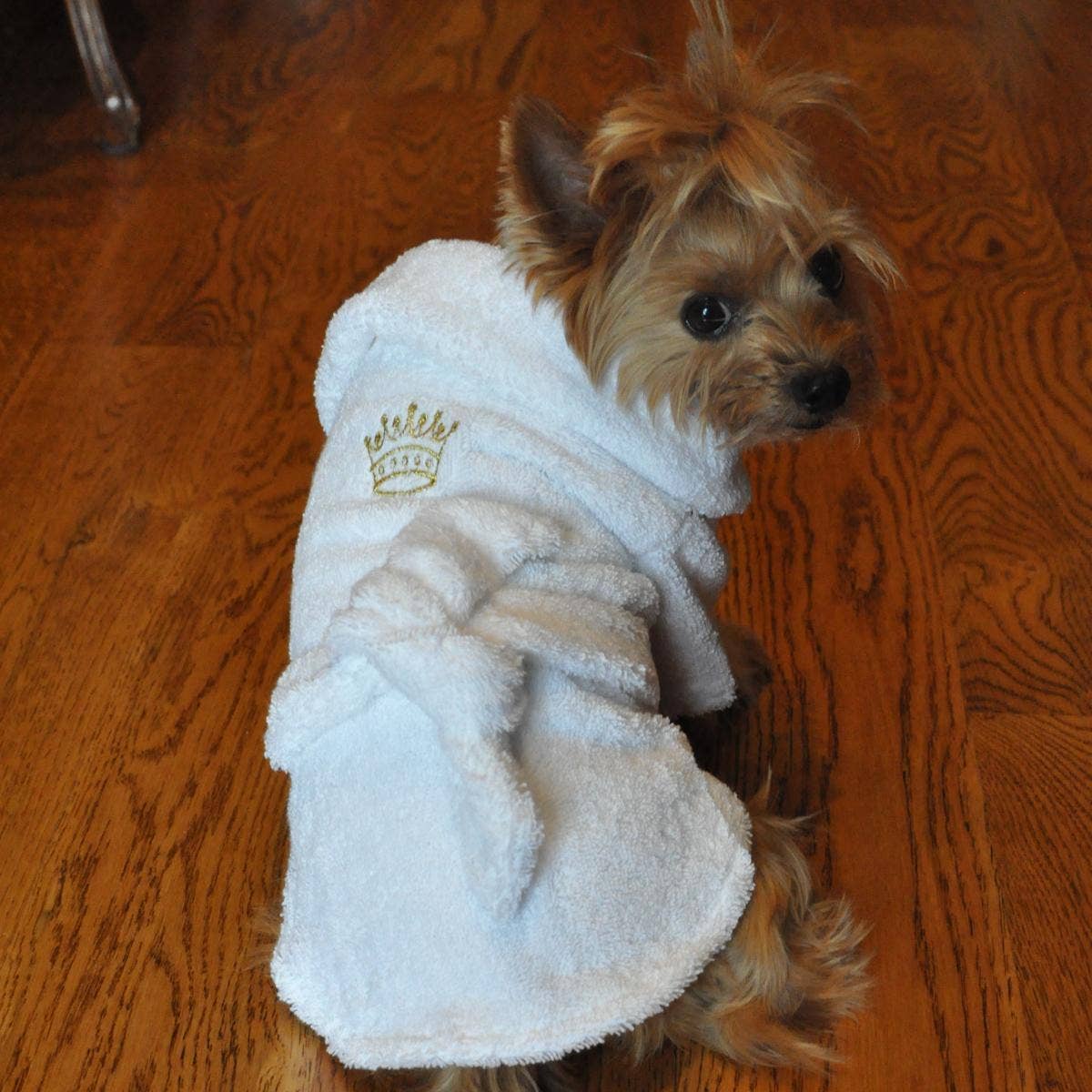 Doggie Design - White Gold Crown Cotton Dog Bathrobe by Doggie Design Image