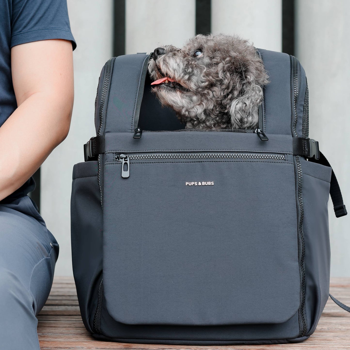 Pups & Bubs - Traveler Pet Carrier Backpack | Dog Carrier | Cat Carrier Image