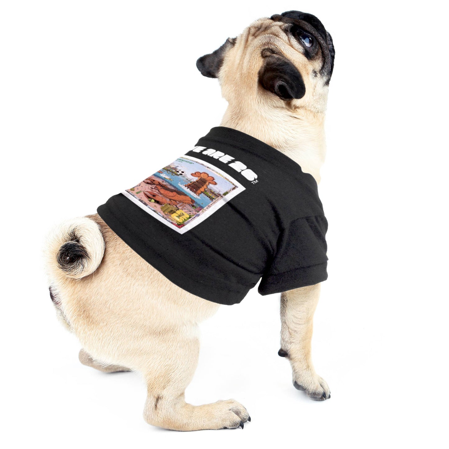 Little Earth Productions - 2026 FIFA World Cup Host City Pet T-Shirt Image