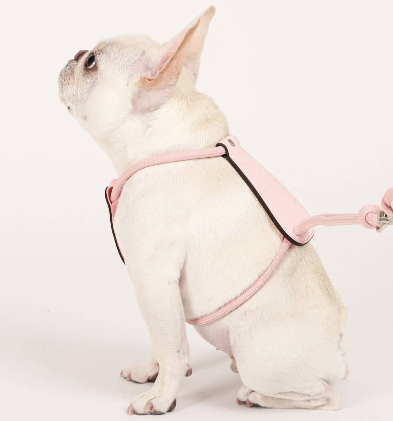 Hozi - Essential Harness - Pink Image