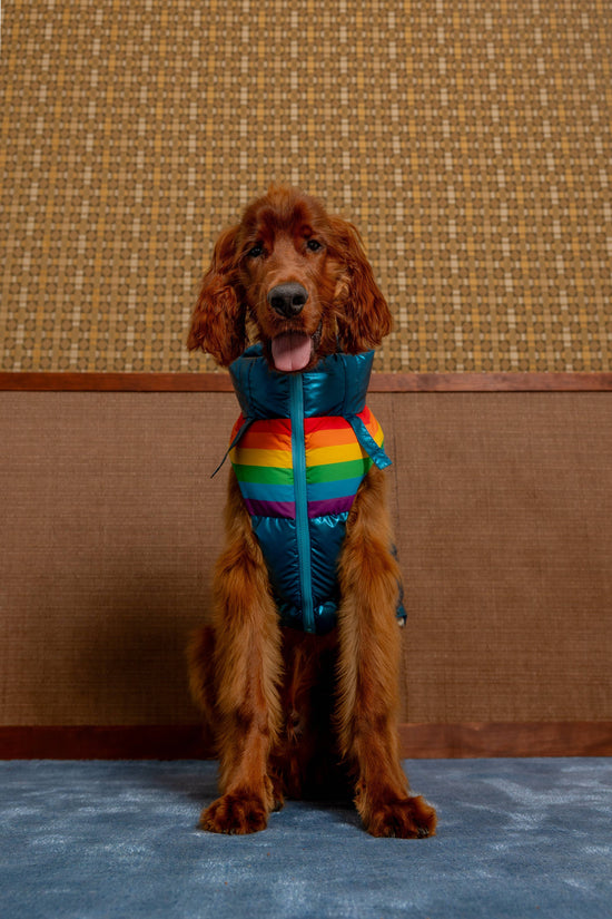 maxbone - Stranger Things x maxbone WSQK Puffer Vest