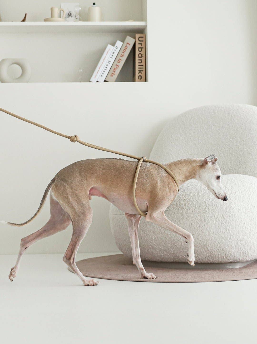 Hozi - All-in-one Harness : Beige Image