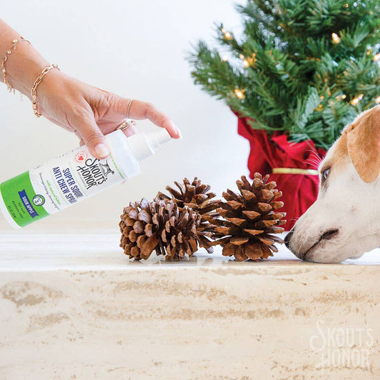 Skout's Honor Super Sour! Anti Chew Spray 8 oz Image