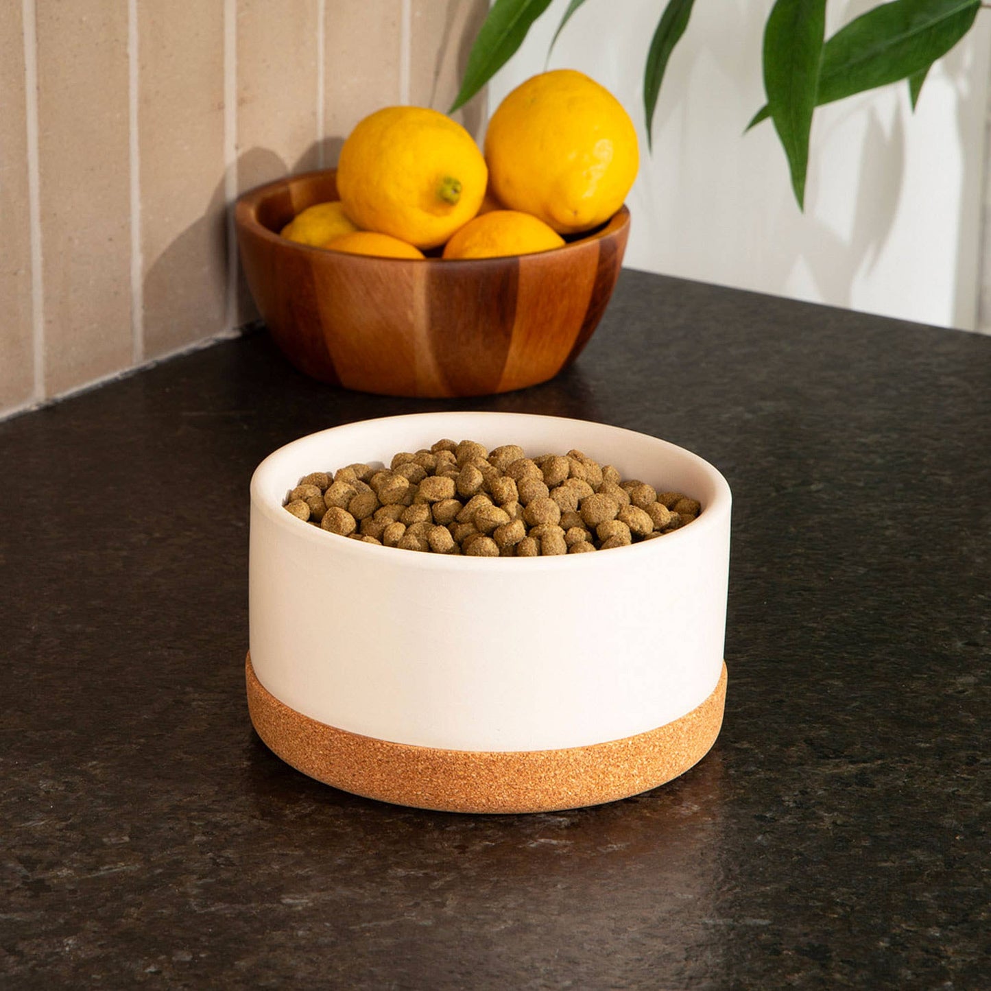 Waggo - Corky Ceramic 4 Cup Dog Bowl Image