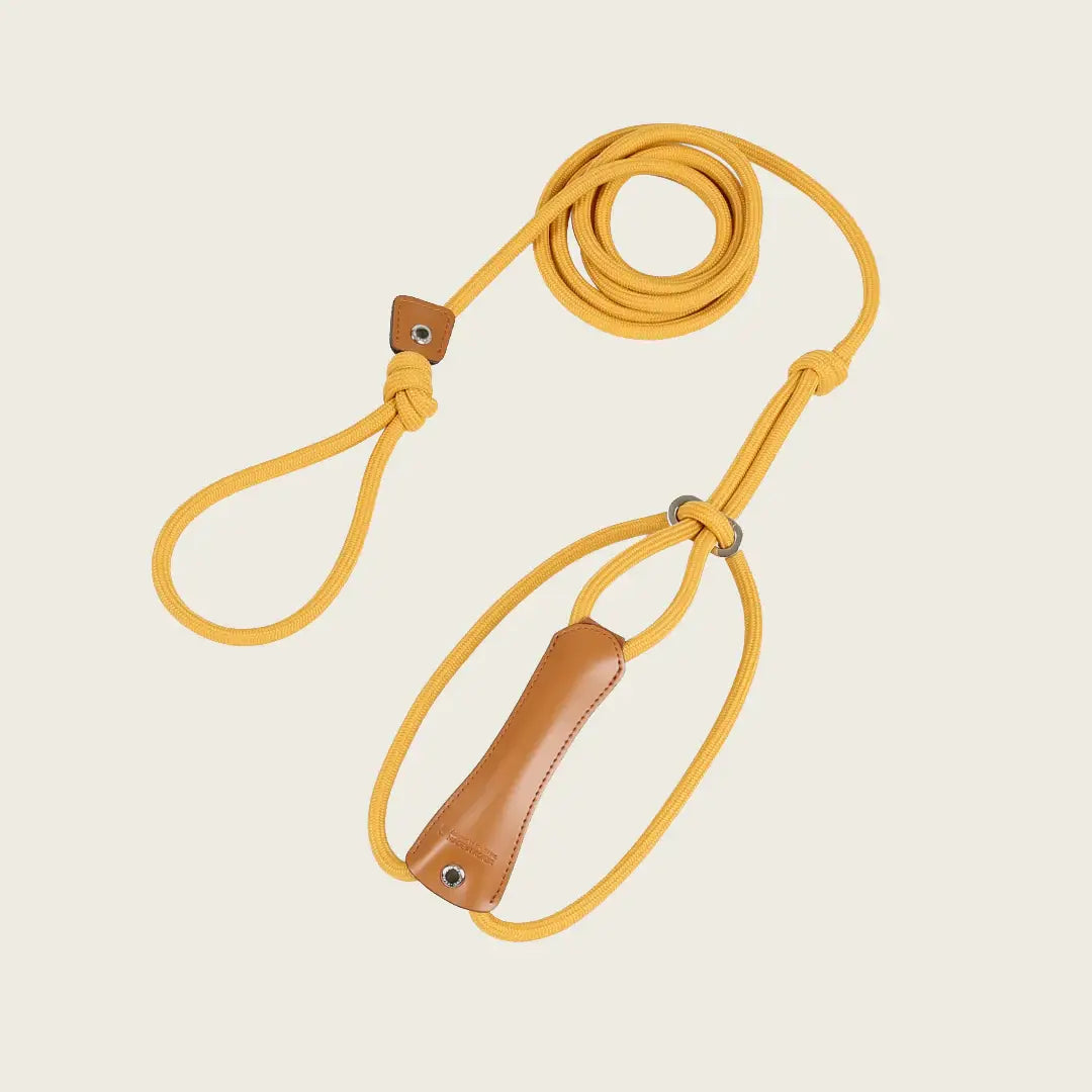 Hozi - All-in-one Harness : mustard Image