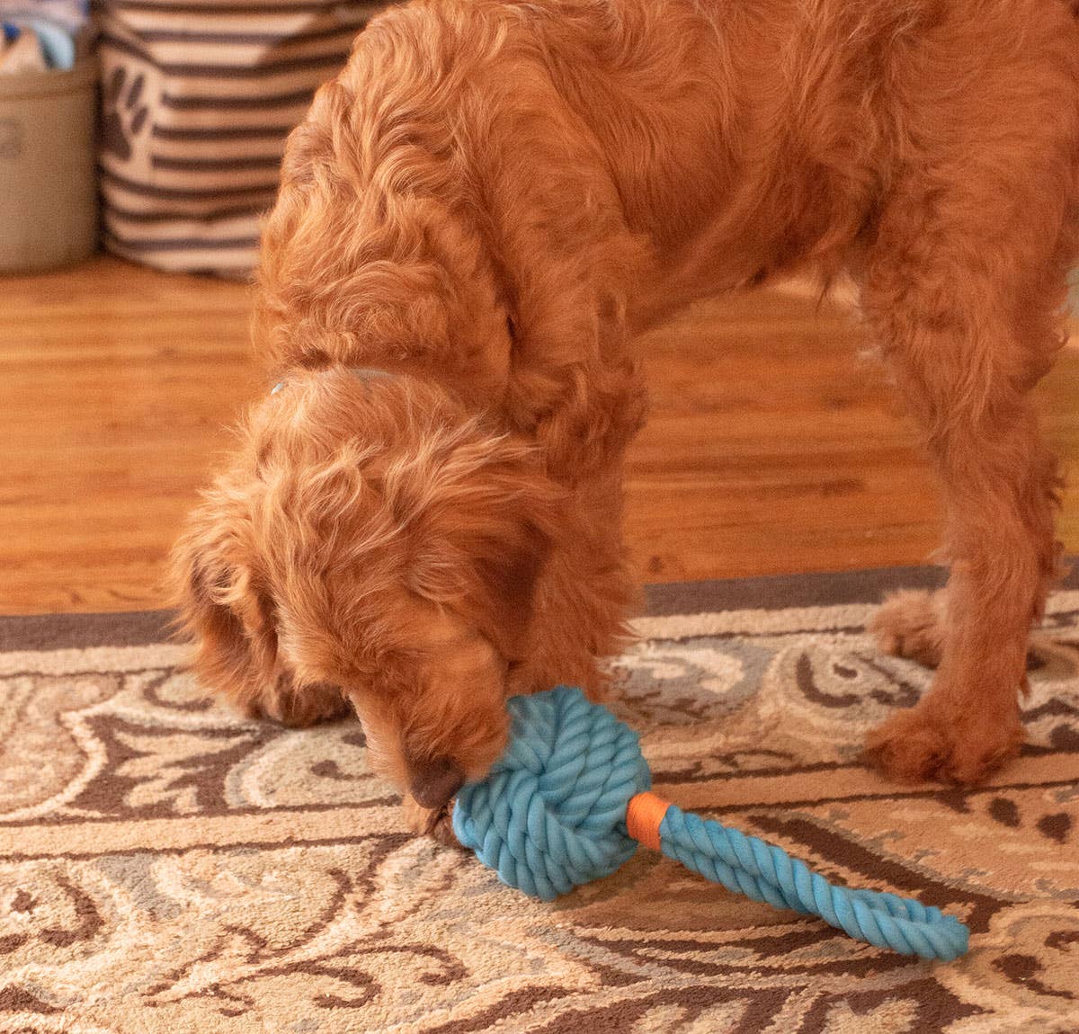 Pet Palette Distribution - ThoozyPet Ball Tug Rope Dog Toy with Handle Blue 5" Image