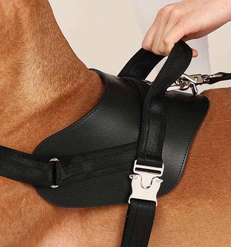 Hozi - Saddle Harness - Black Image