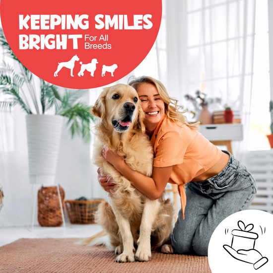 Roofus - Roofus Dental Wipes | Fragrance Free | 60ct Image