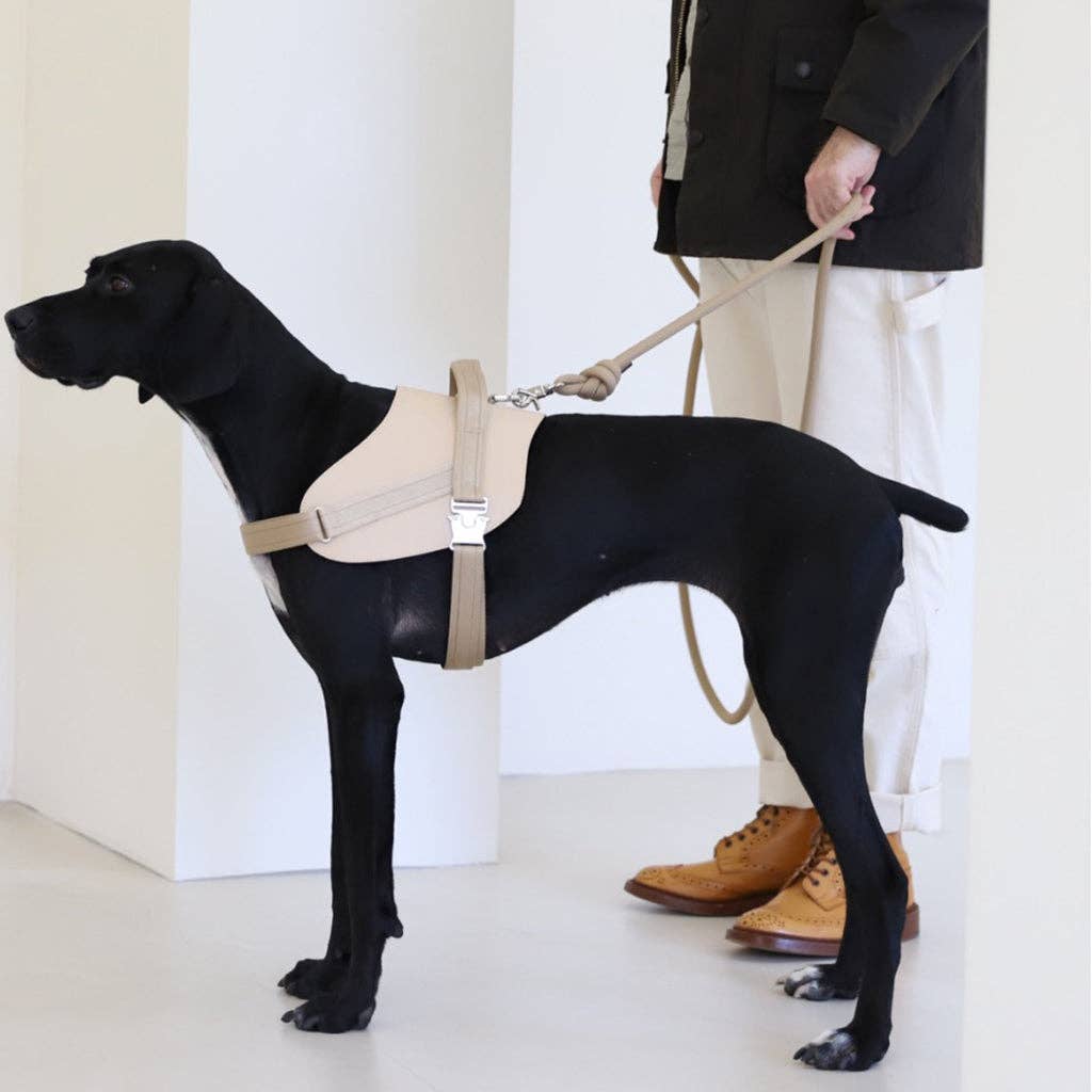 Hozi - [NEW] Essential Leash - Beige Image