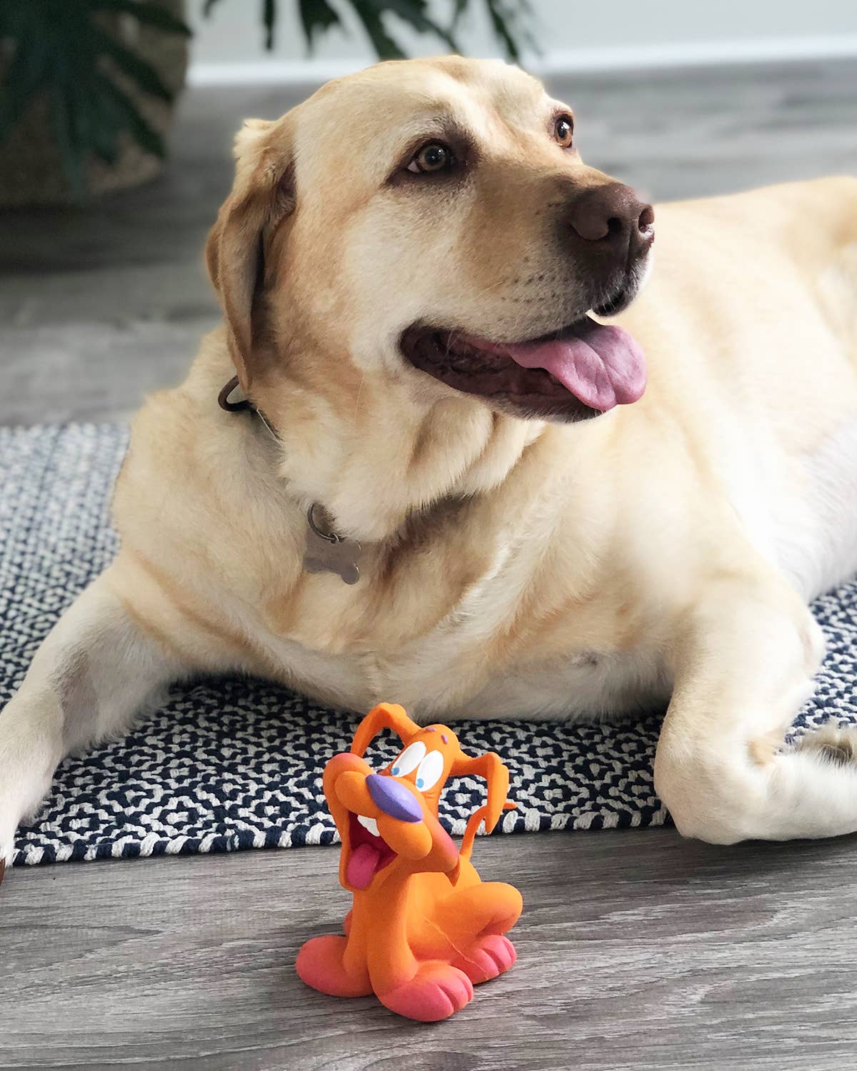 Retro Smiley Squeaky Natural Rubber Dog Toy Medium  Image