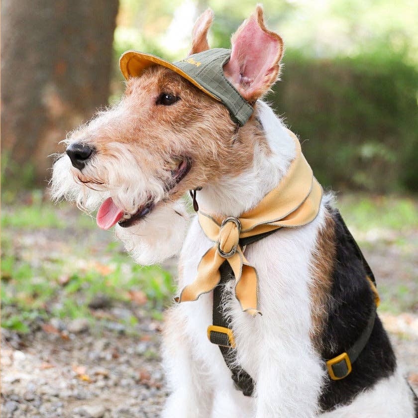 Hozi - Doggie Scarf : Mustard Image
