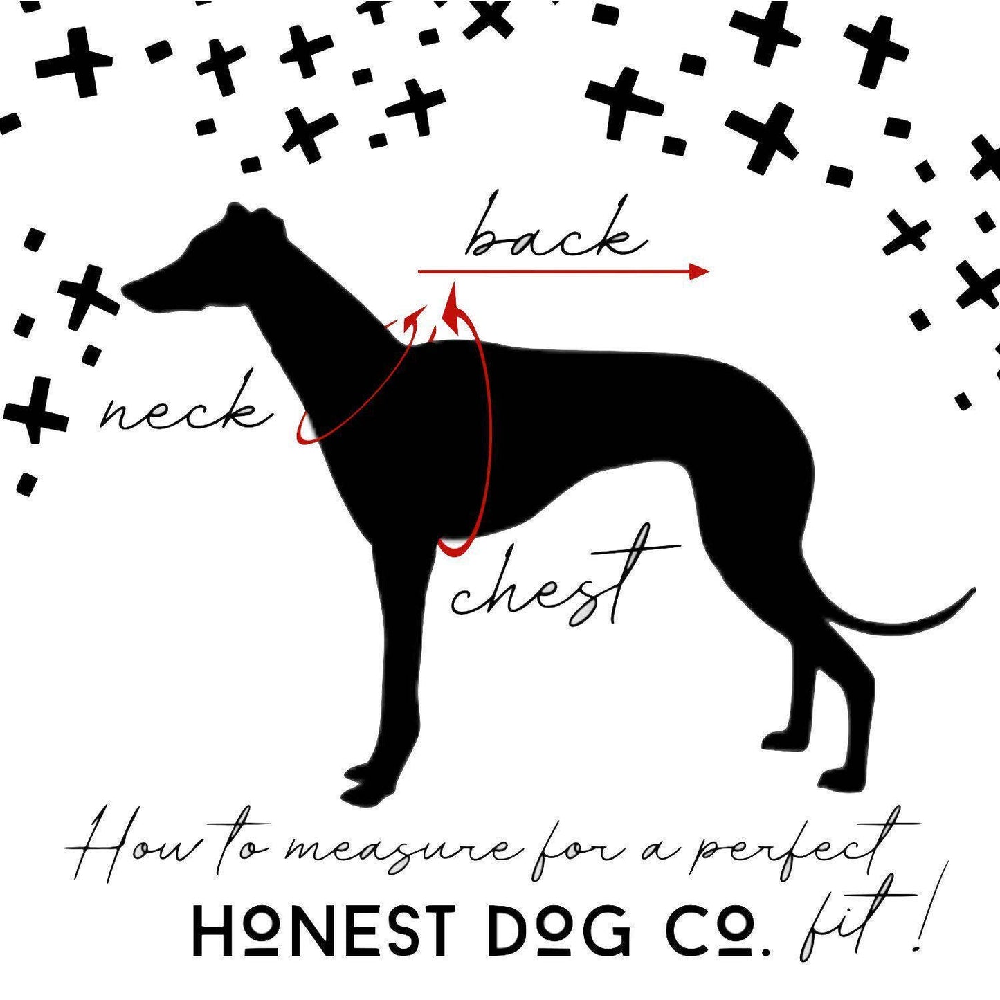 The Honest Dog Company - Grateful Dead Dog Hoodie Image