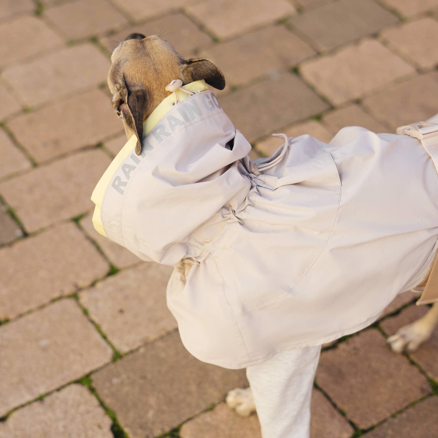 Pups & Bubs - Lumi Raincoat Image