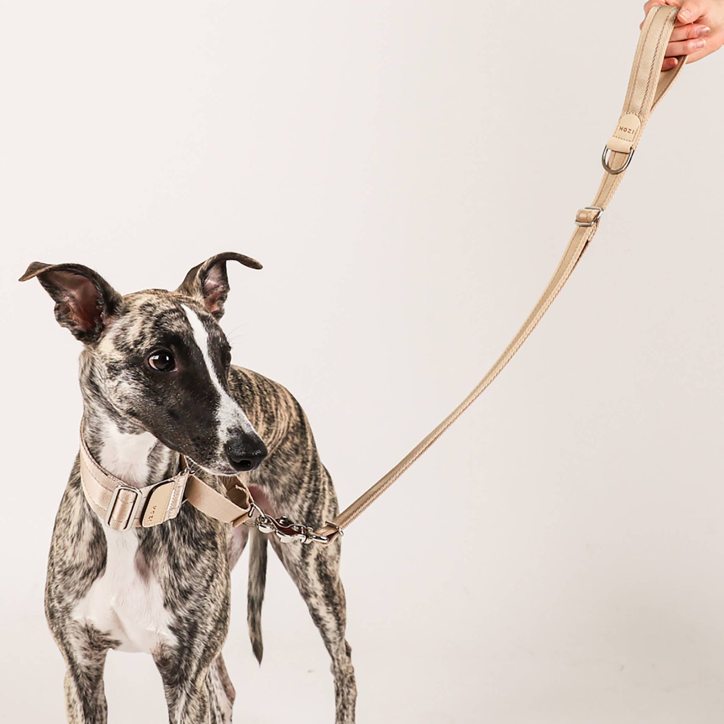 Hozi - Half Leash : Beige Image