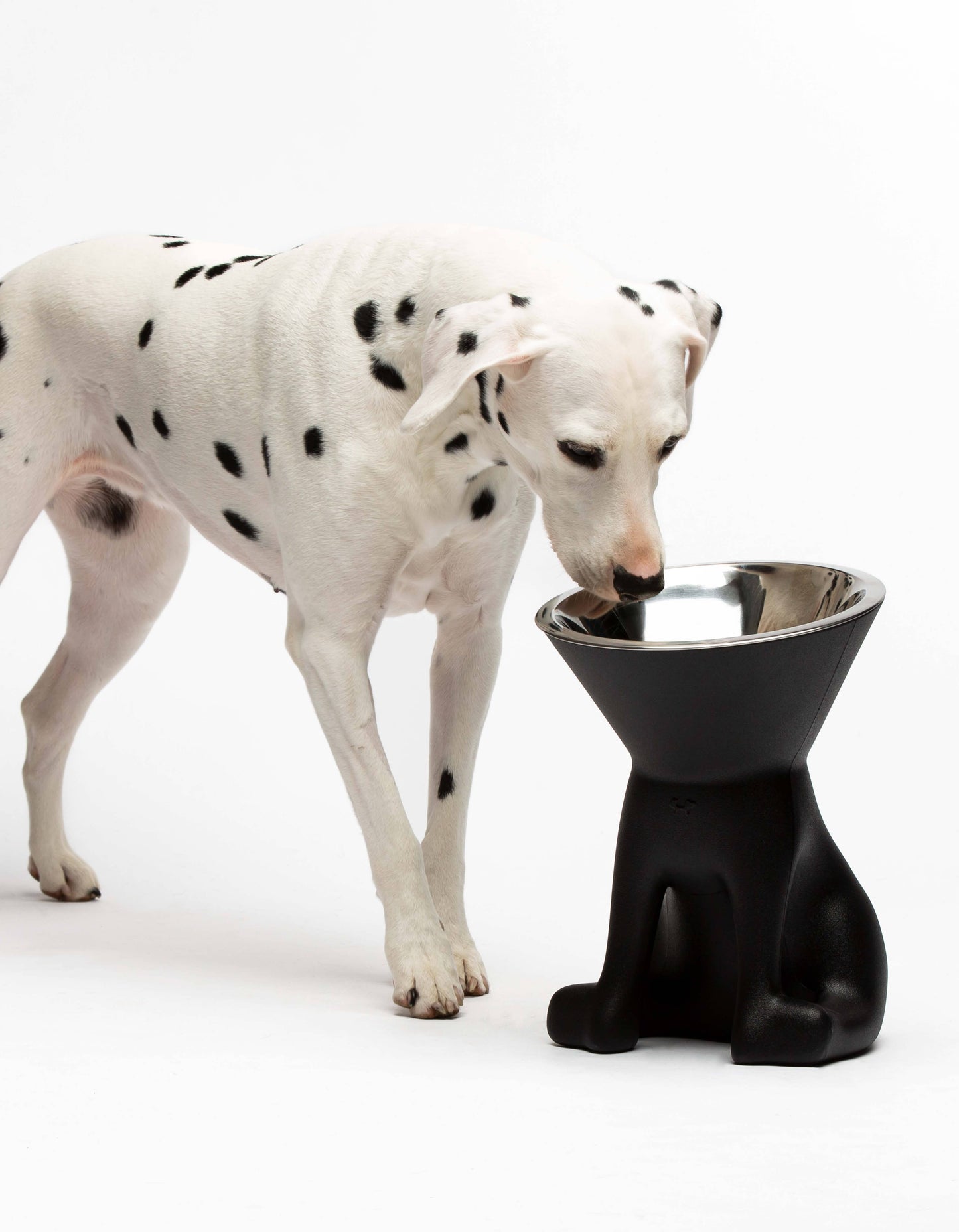 United Pets - Elizabeth: raised dog bowl