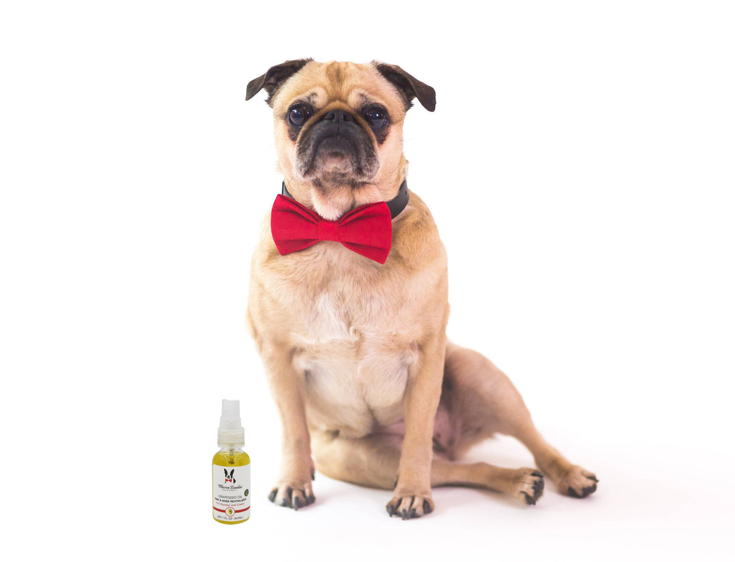 Warren London Dog Products - Grapeseed Oil Paw Revitalizer - 2 Sizes  Image
