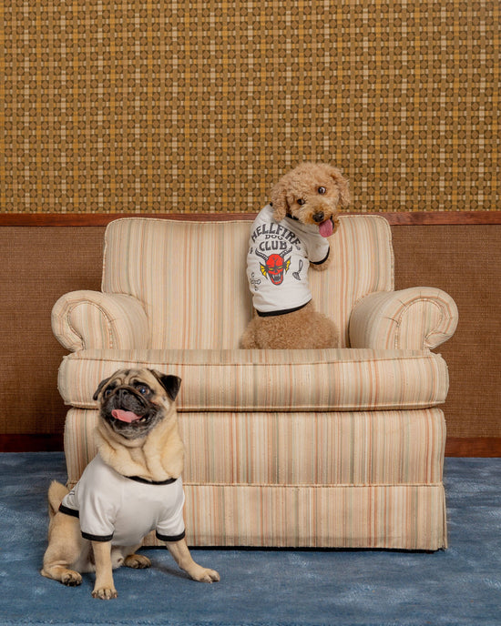 maxbone - Stranger Things x maxbone Hellfire Dog T-Shirt