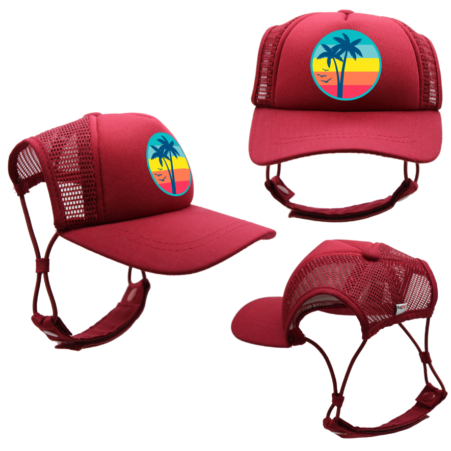 Trucker Hat for Dogs Image