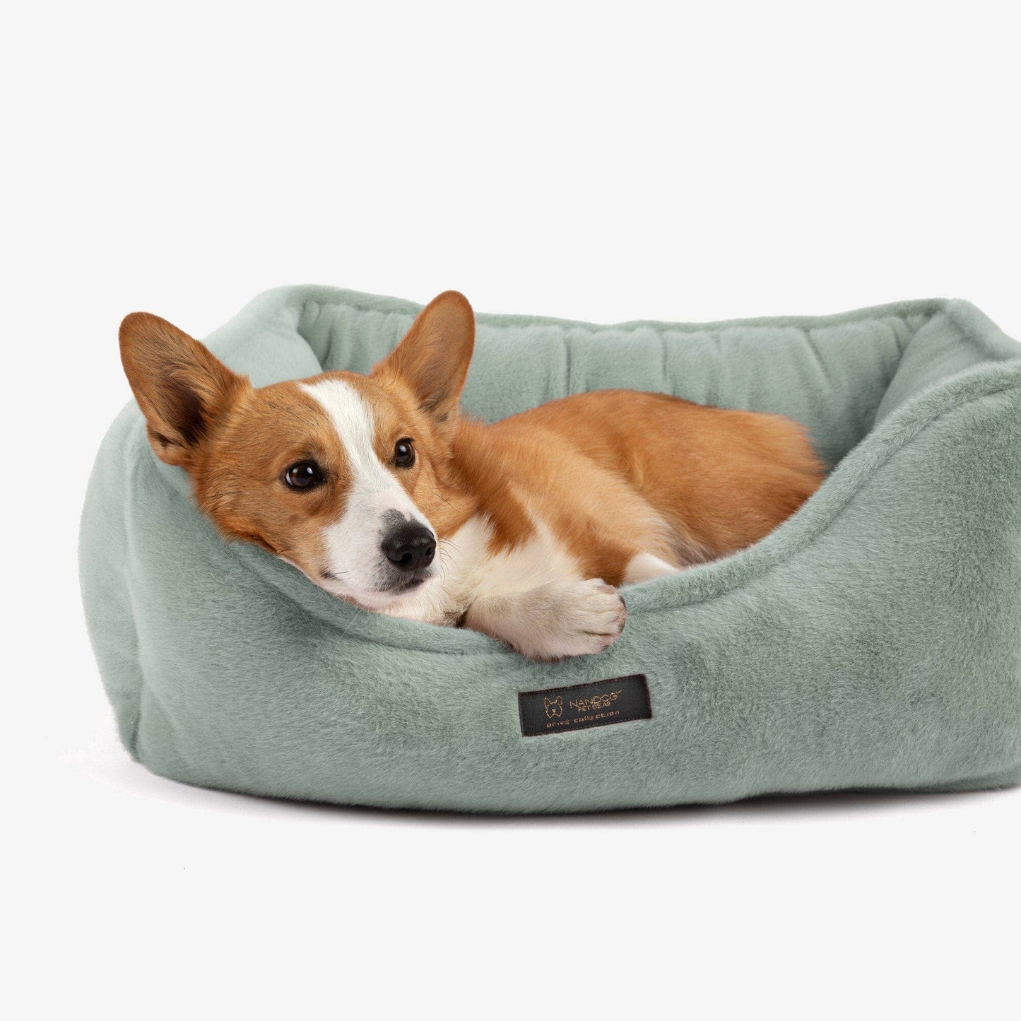 Nandog Pet Gear - The Dream ONE Bed in Paris Green Image