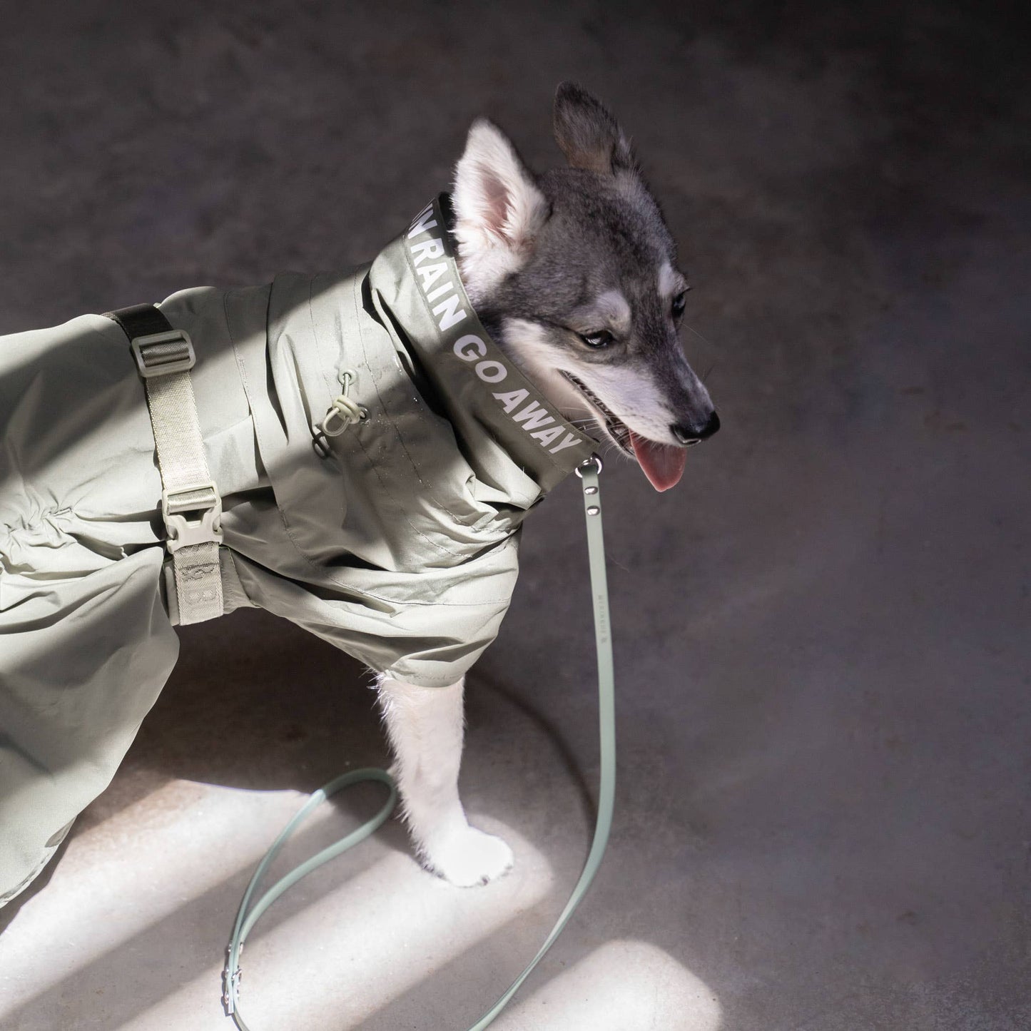 Pups & Bubs - Lumi Raincoat Image