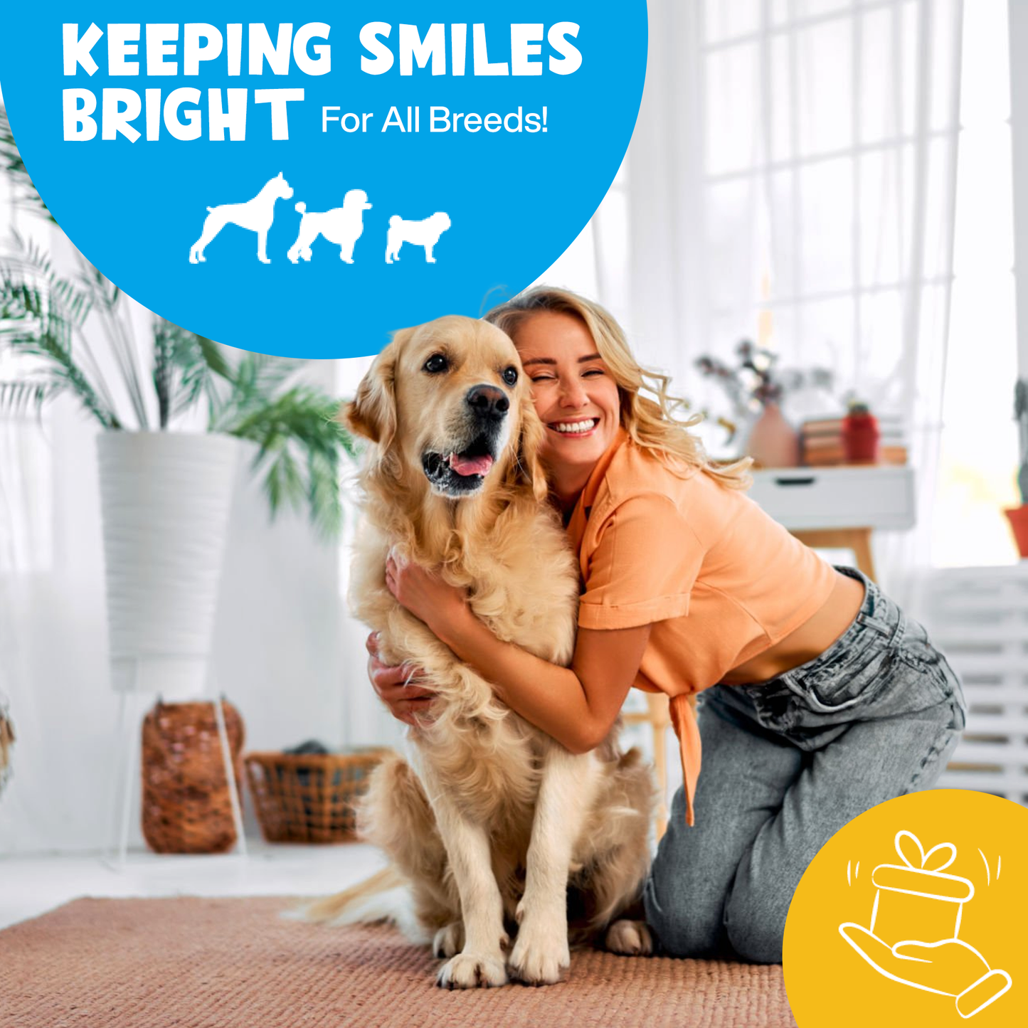 Roofus - Roofus Dental Wipes | Mint | 60ct Image