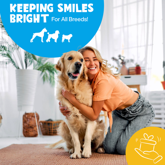 Roofus - Roofus Dental Wipes | Mint | 60ct Image