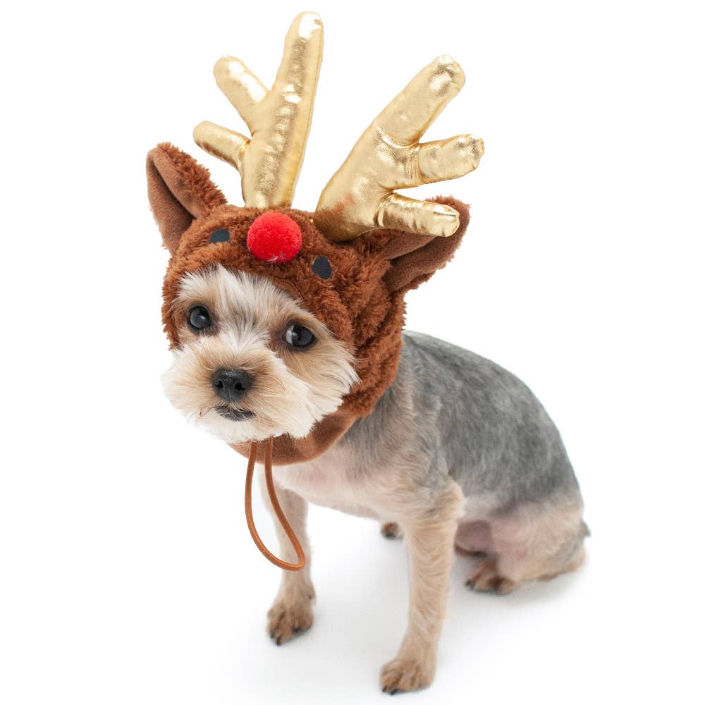 Dogo Pet - Rudolph Hat  Image