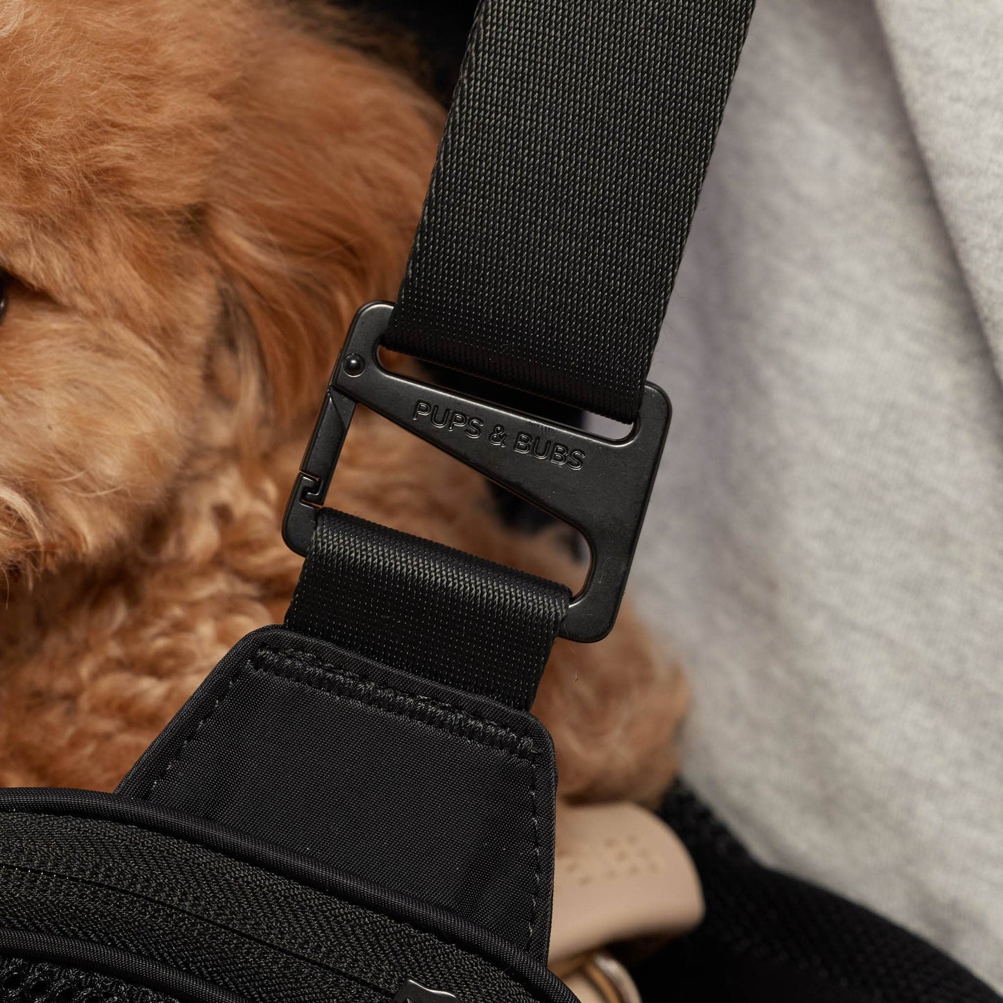 Pups & Bubs - Onboard Travel Pet Carrier (Airline Compliant) Image