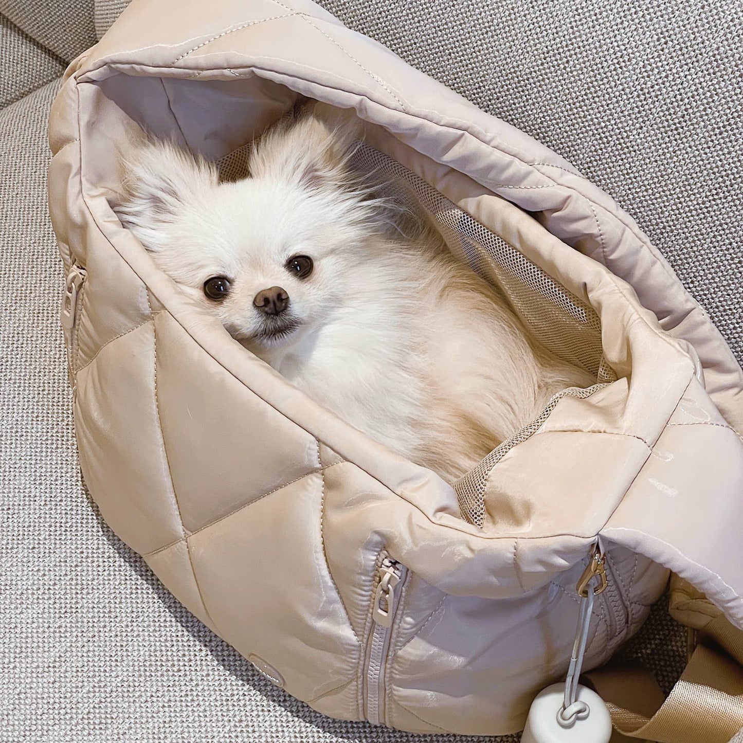 Pups & Bubs - Cloud Crossbody Pet Carrier | Dog & Cat Carrier | 2 Colors Image