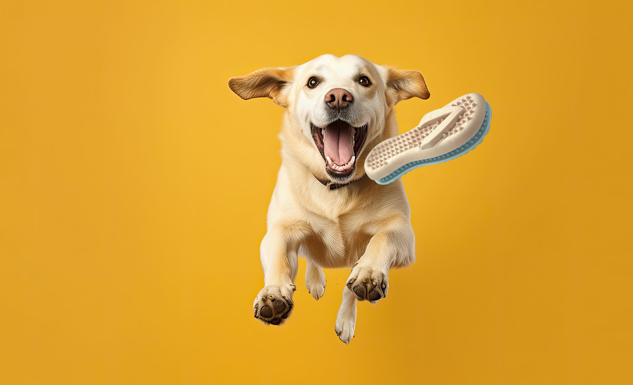 Spunky Pup - Gnaw Guard Foam Squeakers Image