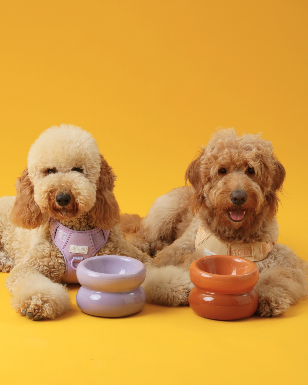 PEHOM - Soufflé Pet Bowl - Purple Image