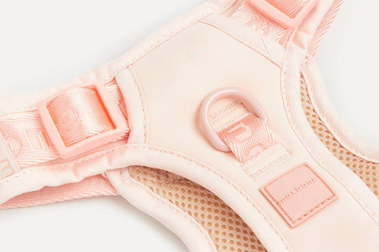 maxbone - Easy Fit Dog Harness Image