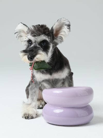 PEHOM - Soufflé Pet Bowl - Purple Image