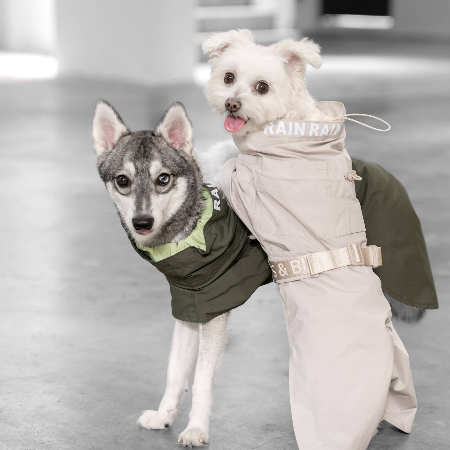 Pups & Bubs - Lumi Raincoat Sand Image