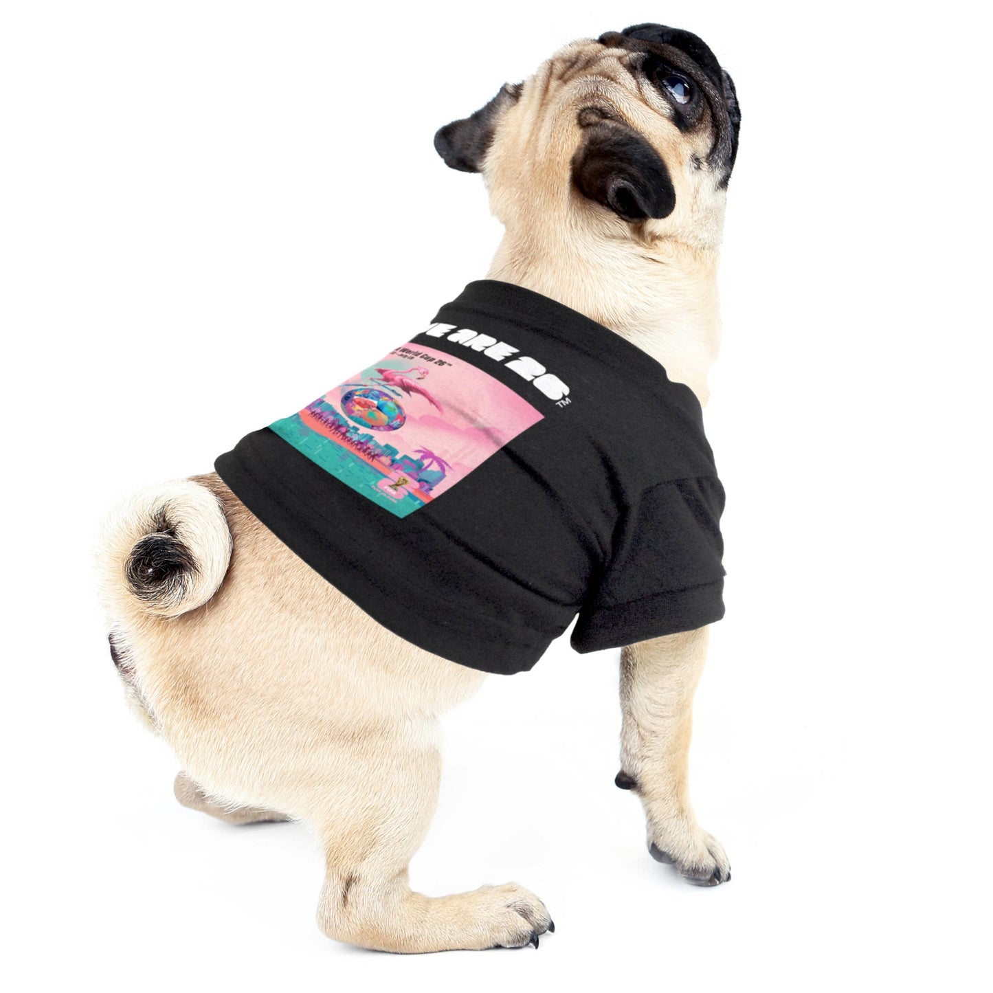 Little Earth Productions - 2026 FIFA World Cup Host City Pet T-Shirt Image
