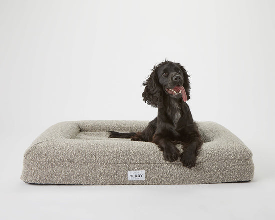 TEDDY LONDON - NEW MEDIUM BOUCLE BED IN GREY  Image