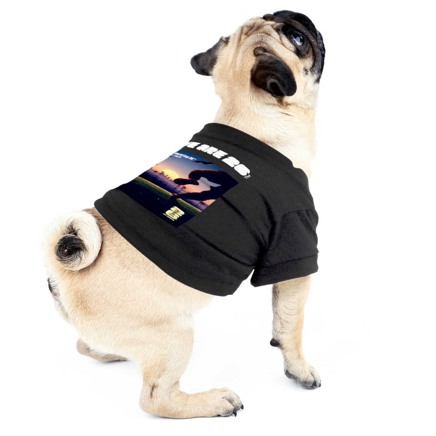 Little Earth Productions - 2026 FIFA World Cup Host City Pet T-Shirt Image