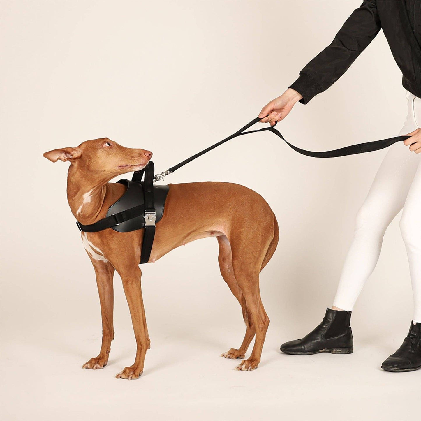 Hozi - Saddle Hands-free Leash : Pink Image