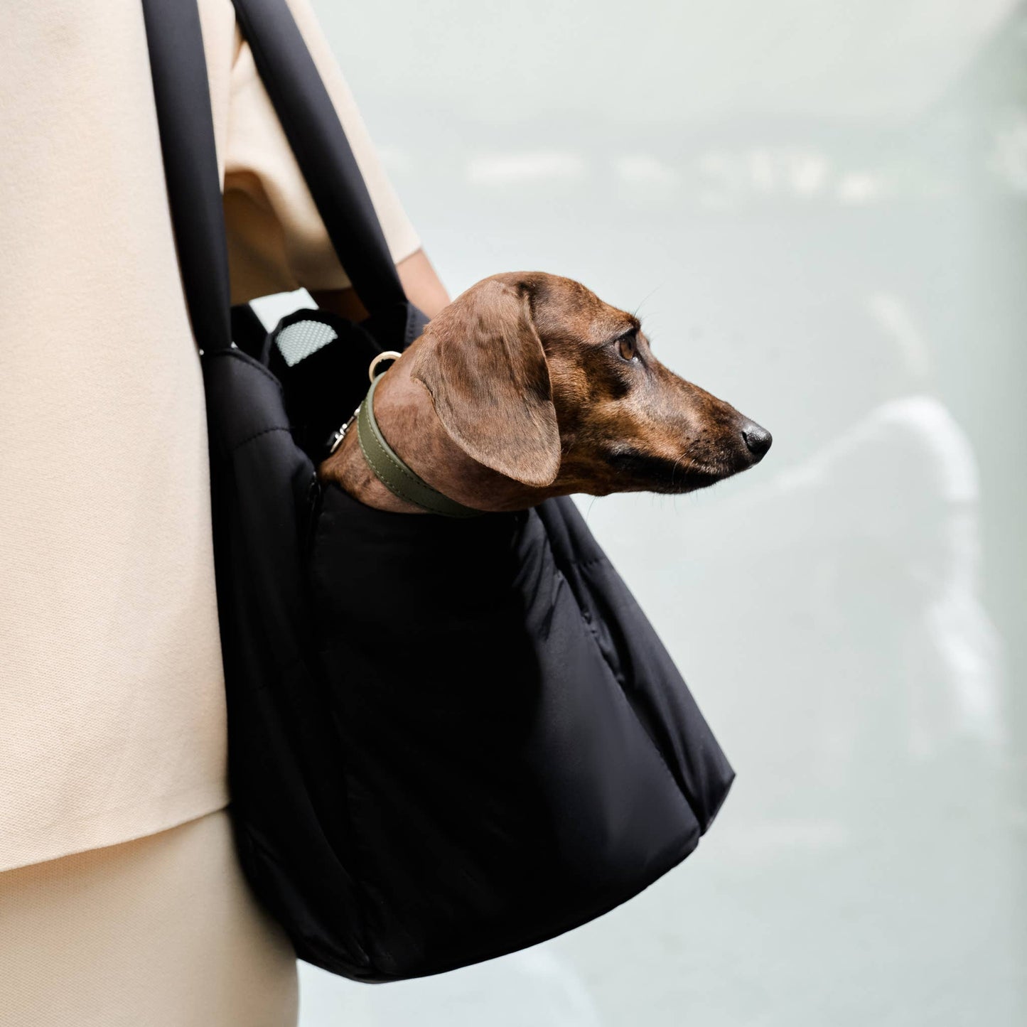 Pups & Bubs - Destination Pet Carrier Tote Image