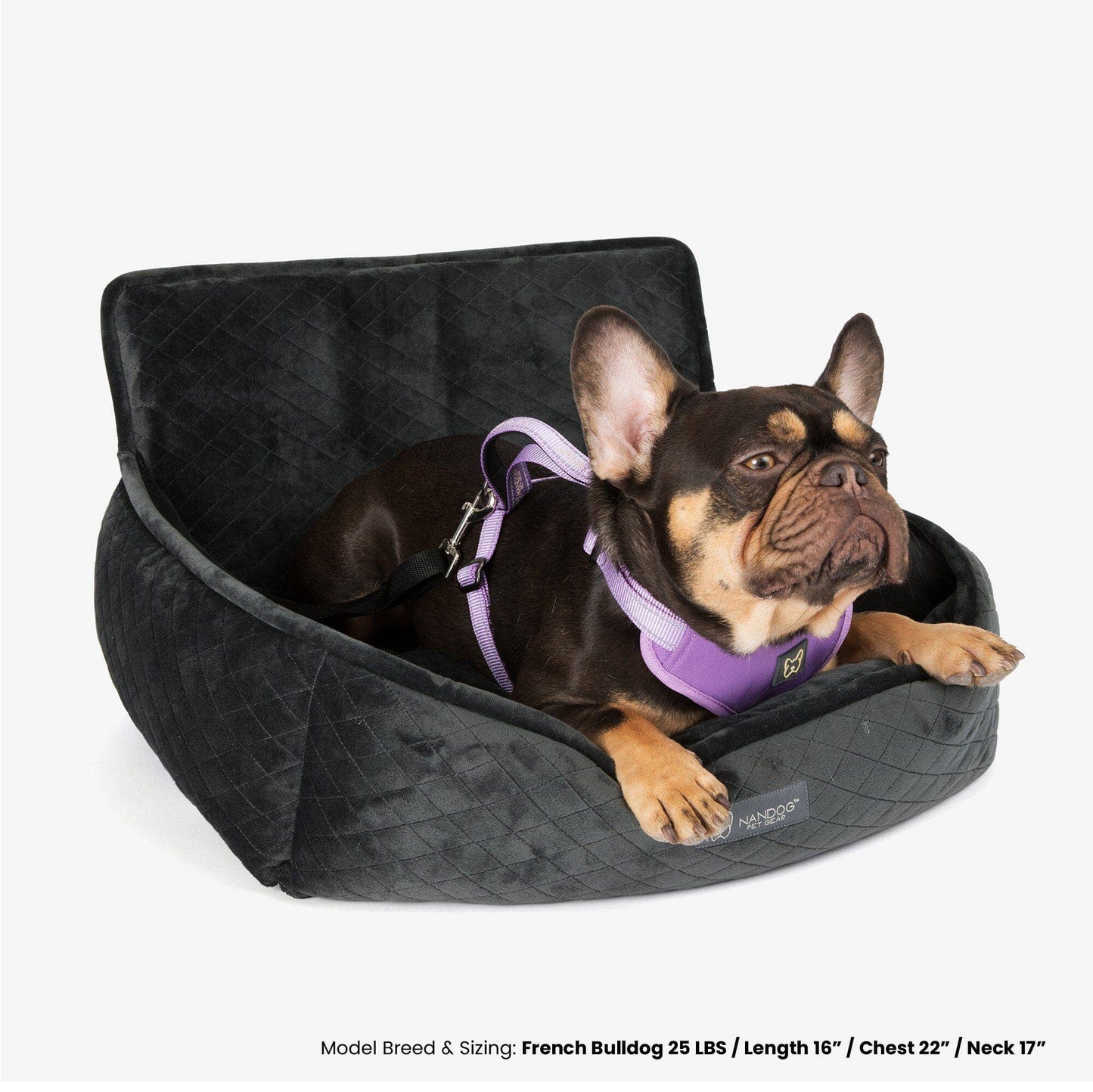 Nandog Pet Gear