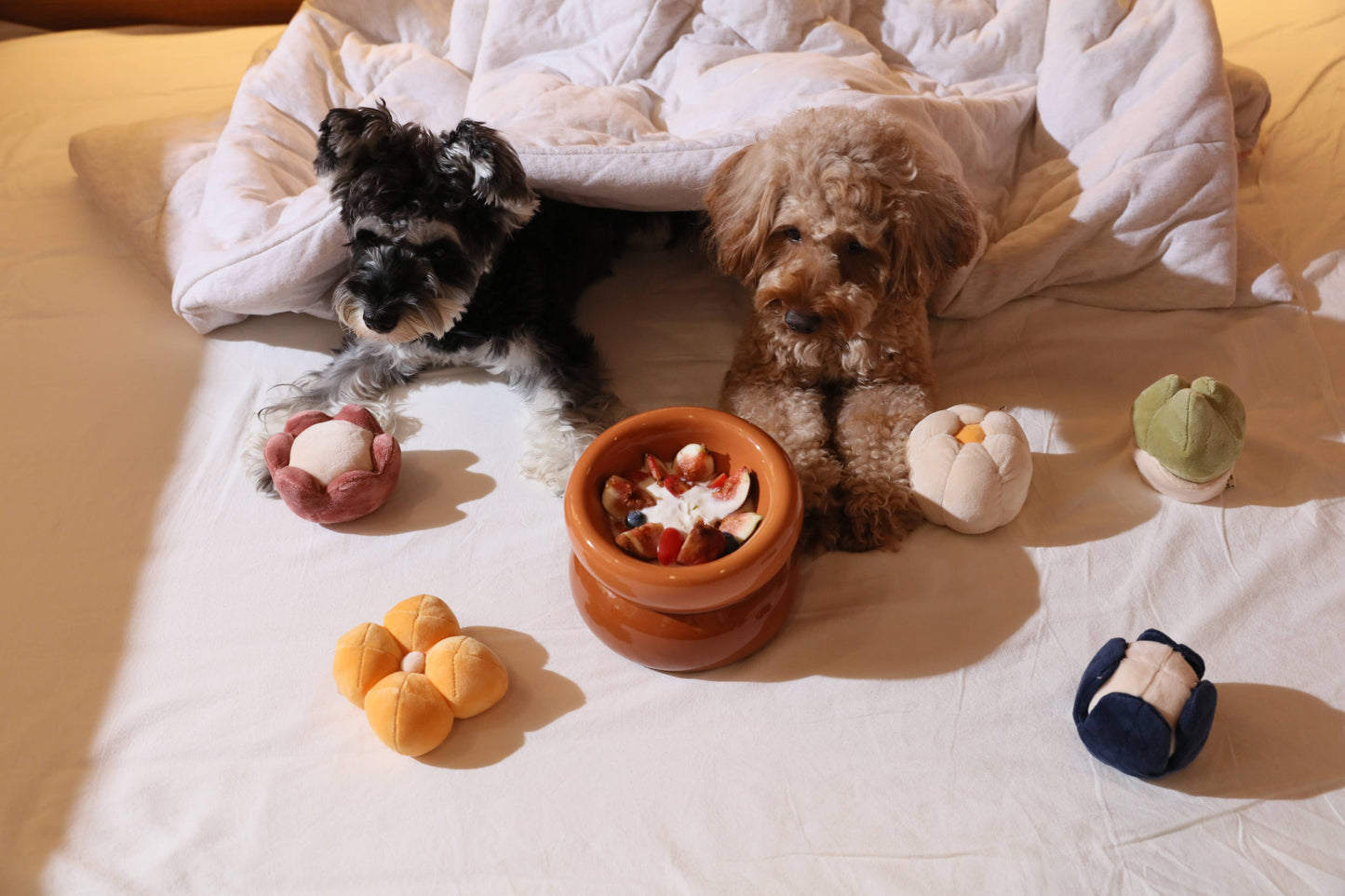 PEHOM - Soufflé Pet Bowl - Rose Pink Image